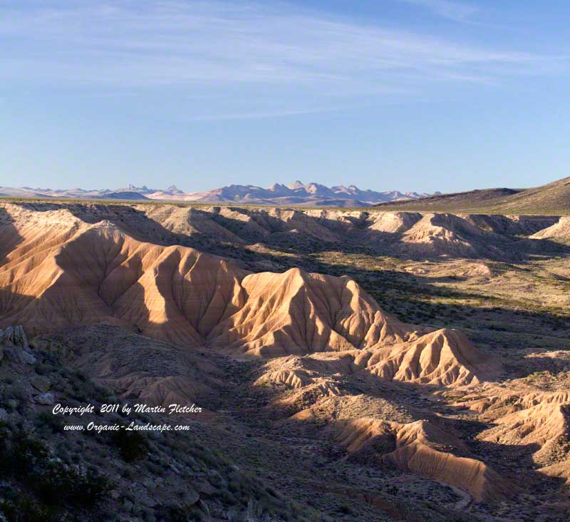 Piute Gorge Mojave Preserve